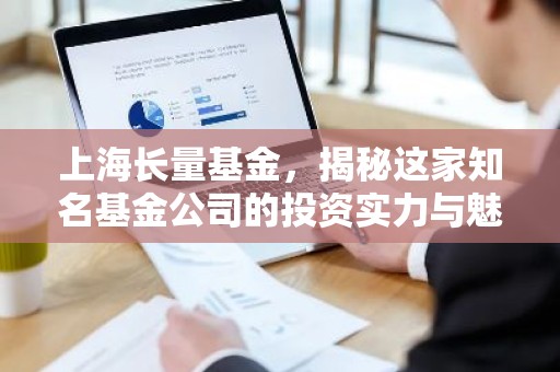 上海长量基金，揭秘这家知名基金公司的投资实力与魅力