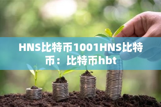 HNS比特币1001HNS比特币：比特币hbt