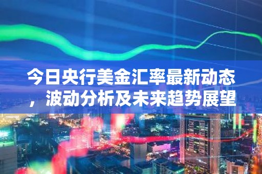 今日央行美金汇率最新动态，波动分析及未来趋势展望