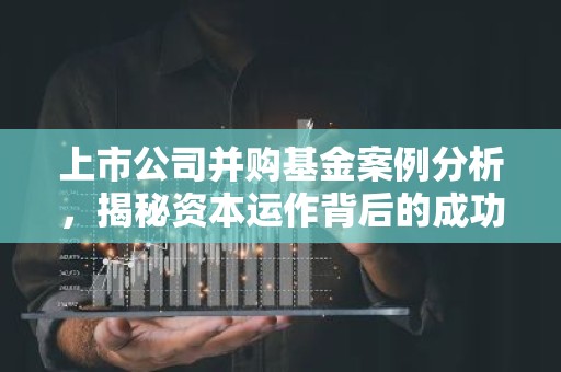 上市公司并购基金案例分析，揭秘资本运作背后的成功秘诀