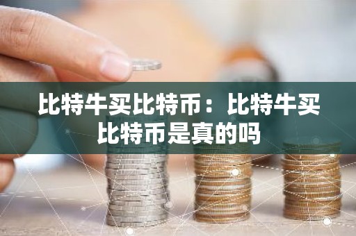 比特牛买比特币：比特牛买比特币是真的吗