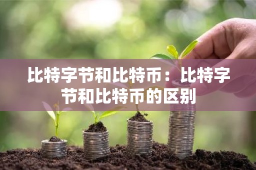 比特字节和比特币：比特字节和比特币的区别
