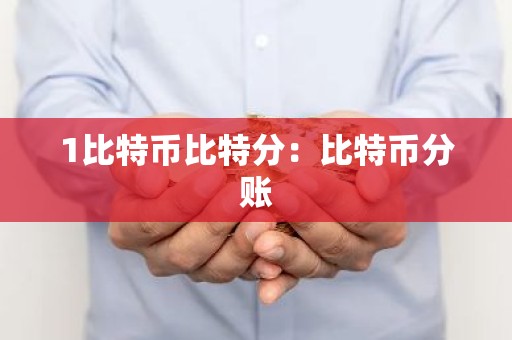 1比特币比特分：比特币分账