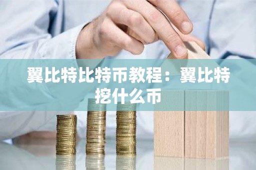 翼比特比特币教程：翼比特挖什么币