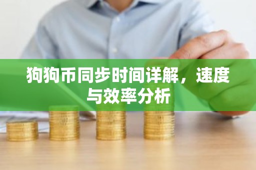 狗狗币同步时间详解，速度与效率分析