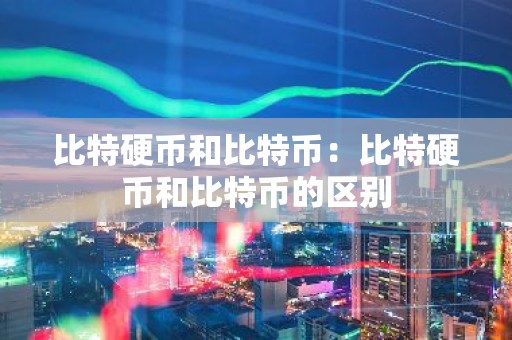 比特硬币和比特币：比特硬币和比特币的区别