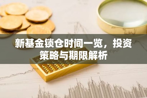 新基金锁仓时间一览，投资策略与期限解析