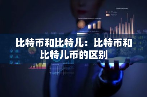 比特币和比特儿：比特币和比特儿币的区别