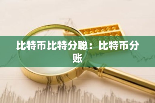 比特币比特分聪：比特币分账