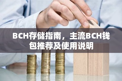 BCH存储指南，主流BCH钱包推荐及使用说明