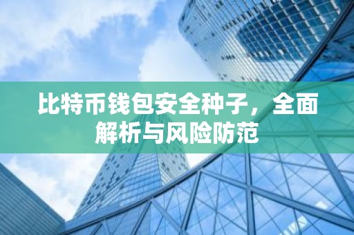 比特币钱包安全种子，全面解析与风险防范