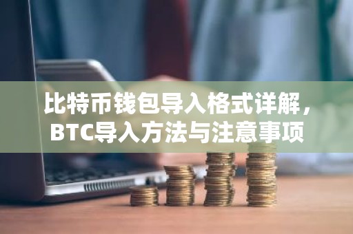 比特币钱包导入格式详解，BTC导入方法与注意事项