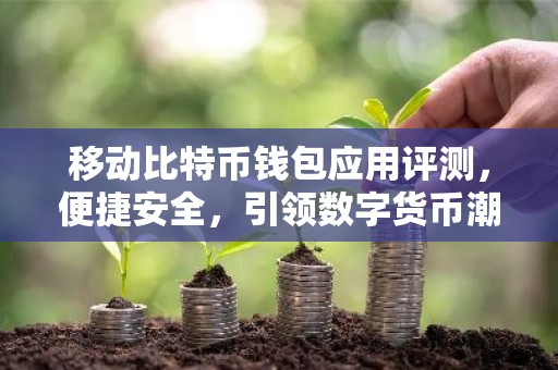 移动比特币钱包应用评测，便捷安全，引领数字货币潮流