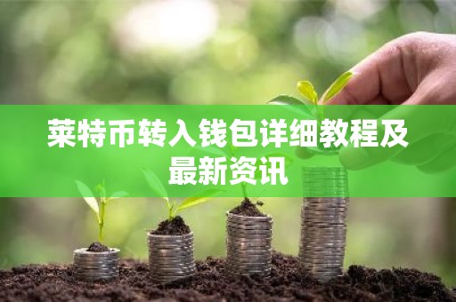 莱特币转入钱包详细教程及最新资讯