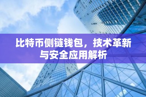 比特币侧链钱包，技术革新与安全应用解析