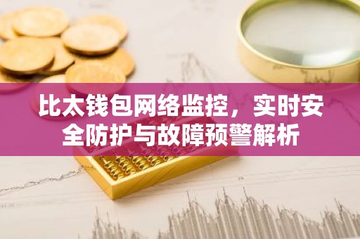 比太钱包网络监控，实时安全防护与故障预警解析
