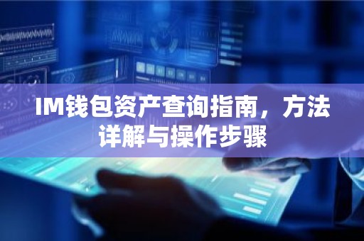 IM钱包资产查询指南，方法详解与操作步骤