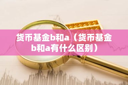 货币基金b和a（货币基金b和a有什么区别）