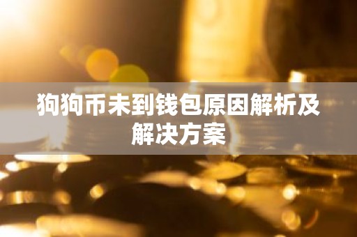 狗狗币未到钱包原因解析及解决方案