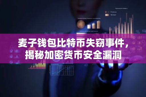麦子钱包比特币失窃事件，揭秘加密货币安全漏洞
