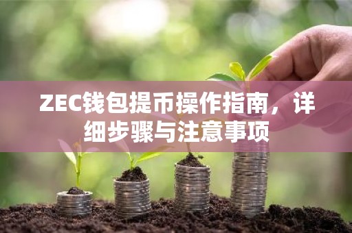 ZEC钱包提币操作指南，详细步骤与注意事项