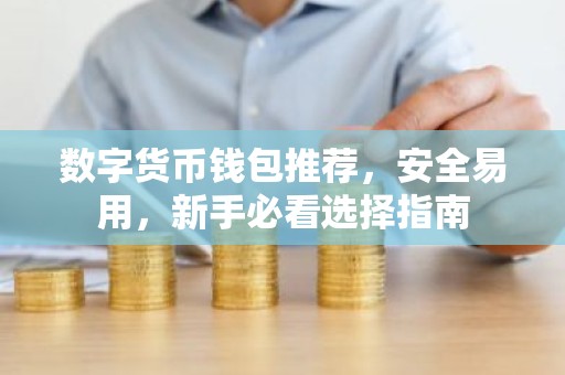 数字货币钱包推荐，安全易用，新手必看选择指南