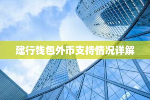 建行钱包外币支持情况详解