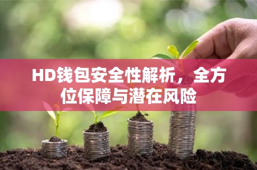 HD钱包安全性解析，全方位保障与潜在风险