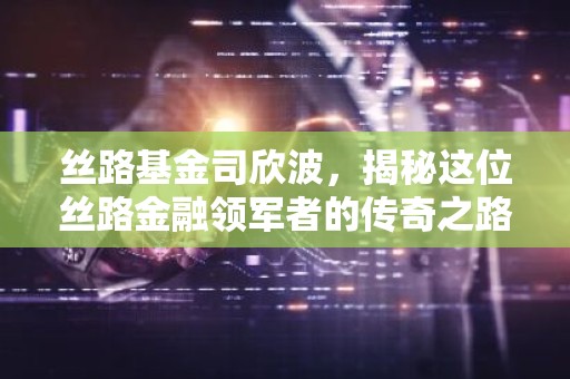 丝路基金司欣波，揭秘这位丝路金融领军者的传奇之路