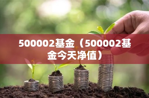 500002基金（500002基金今天净值）