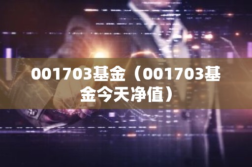 001703基金（001703基金今天净值）