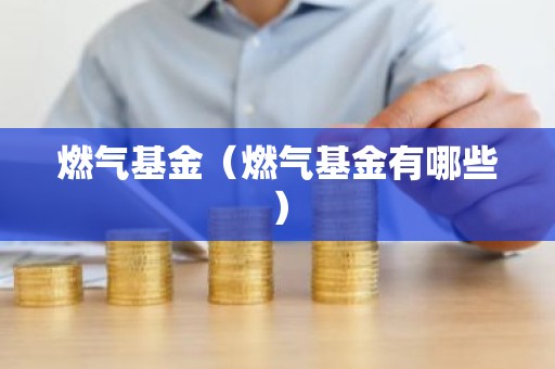 燃气基金（燃气基金有哪些）