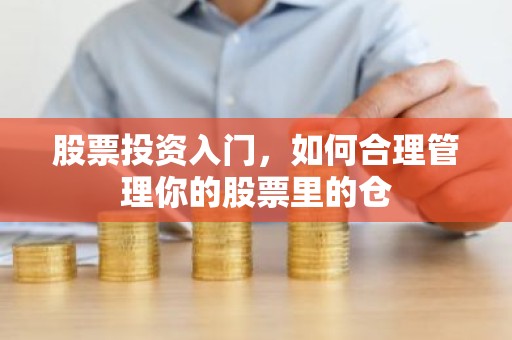股票投资入门，如何合理管理你的股票里的仓