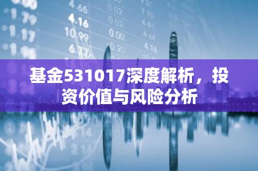 基金531017深度解析，投资价值与风险分析