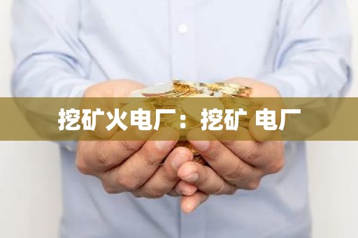 挖矿火电厂：挖矿 电厂
