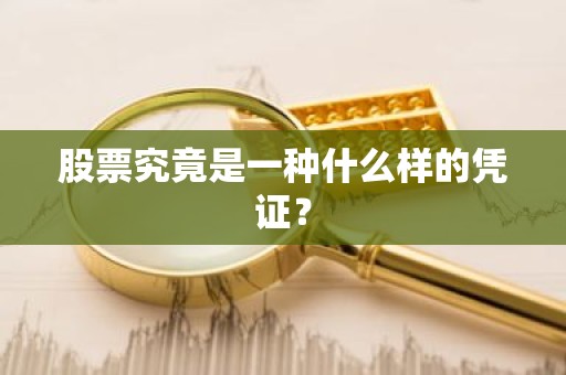 股票究竟是一种什么样的凭证？