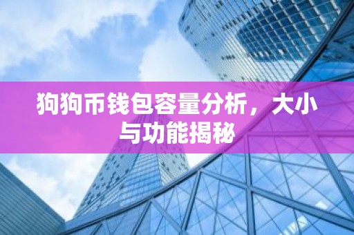 狗狗币钱包容量分析，大小与功能揭秘