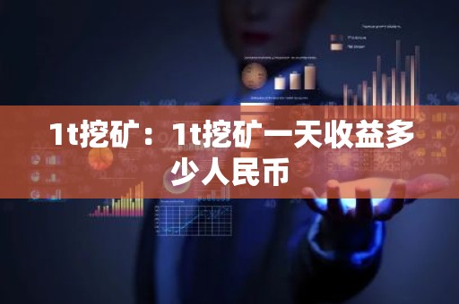 1t挖矿：1t挖矿一天收益多少人民币