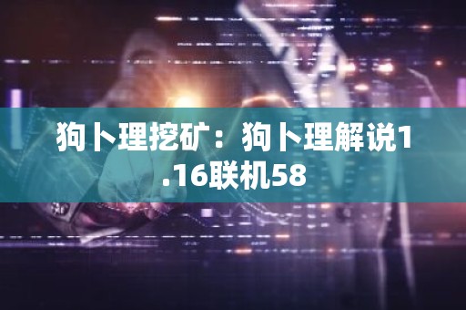 狗卜理挖矿：狗卜理解说1.16联机58