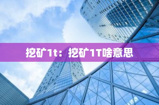 挖矿1t：挖矿1T啥意思