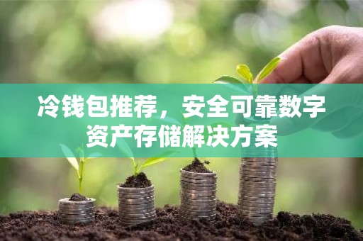 冷钱包推荐，安全可靠数字资产存储解决方案