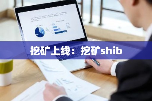 挖矿上线：挖矿shib