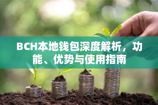 BCH本地钱包深度解析，功能、优势与使用指南