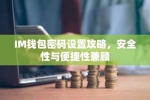 IM钱包密码设置攻略，安全性与便捷性兼顾