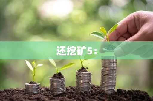 还挖矿5：