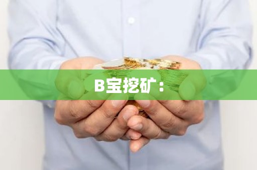 B宝挖矿：