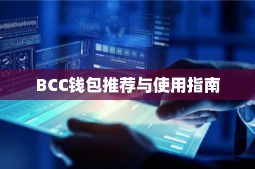 BCC钱包推荐与使用指南