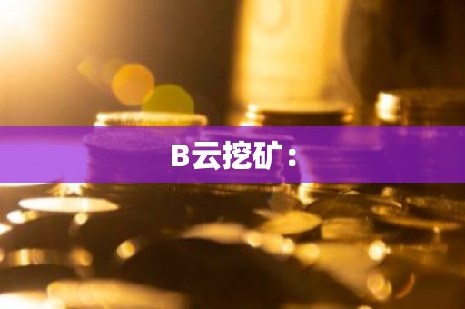 B云挖矿：
