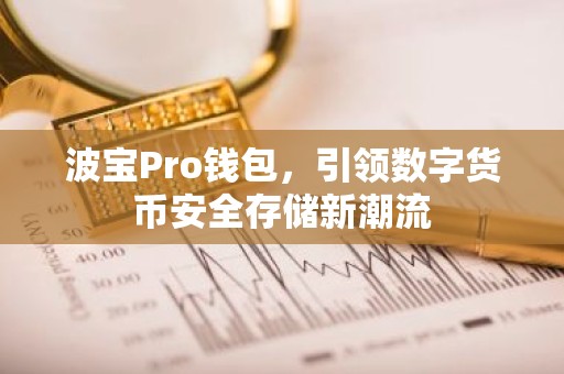 波宝Pro钱包，引领数字货币安全存储新潮流