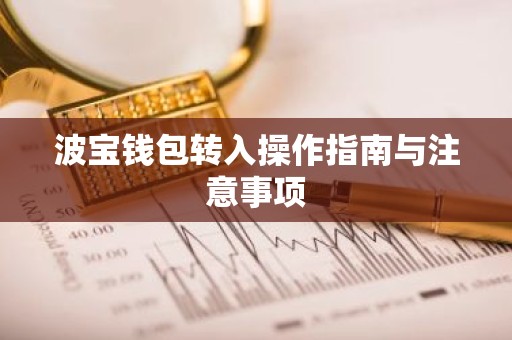 波宝钱包转入操作指南与注意事项